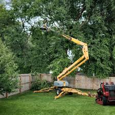 Best Tree Removal  in Sunnyside, GA