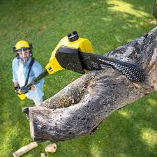 Best Aeration Services  in Sunnyside, GA